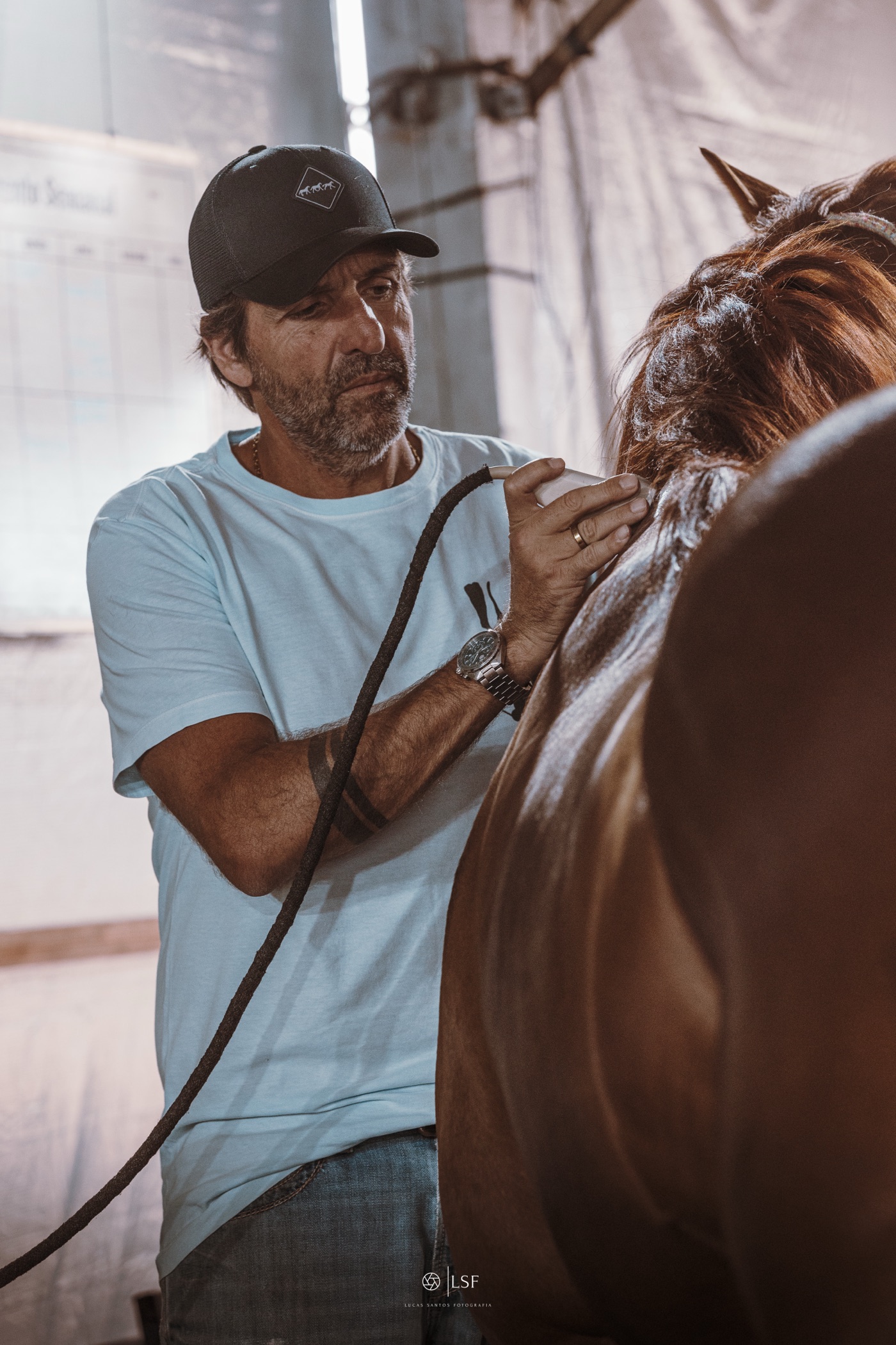 Cuidado próximo com o cavalo atleta