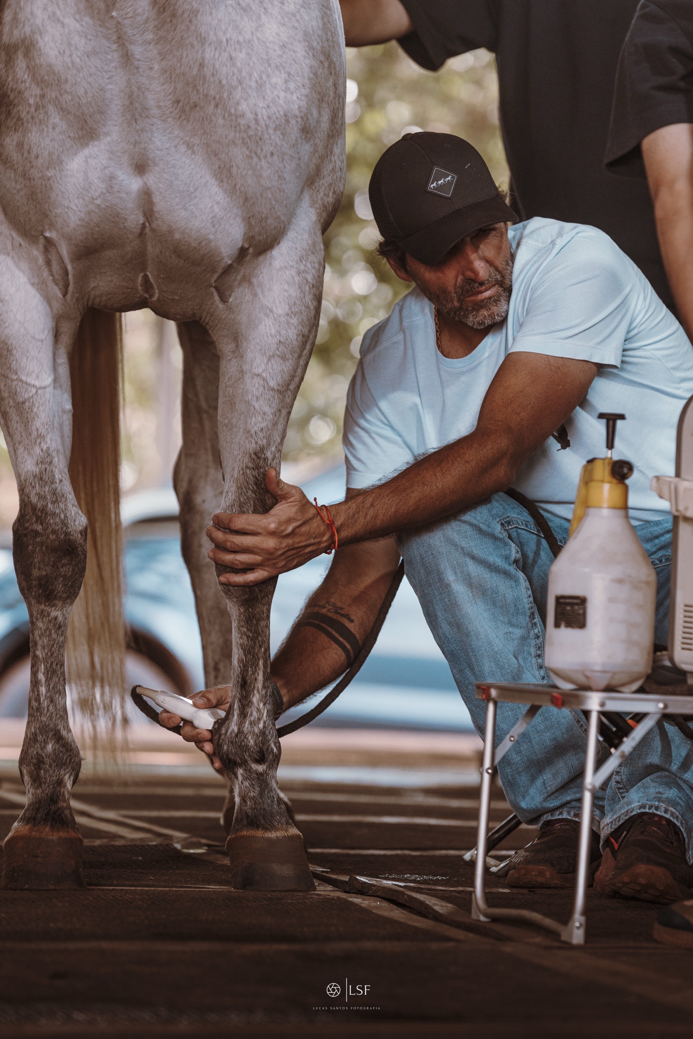 Crioterapia em membro equino