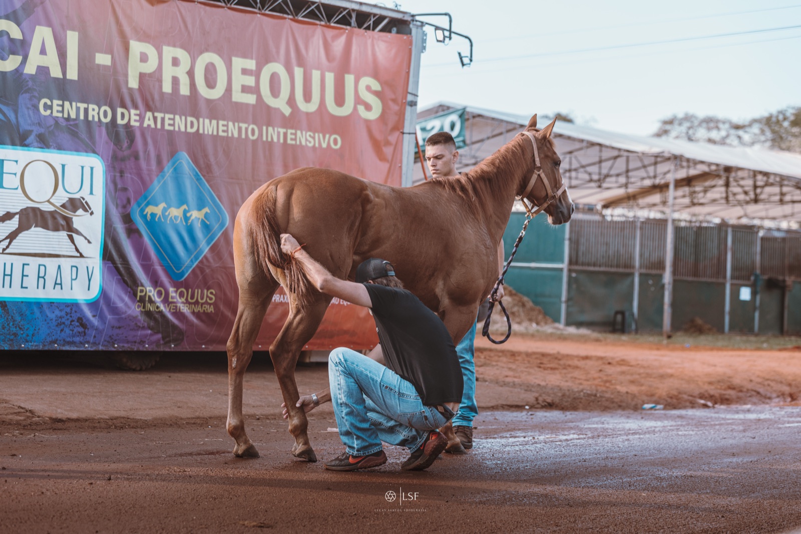 CAI Pro Equus montado em competição, com banner e atendimento