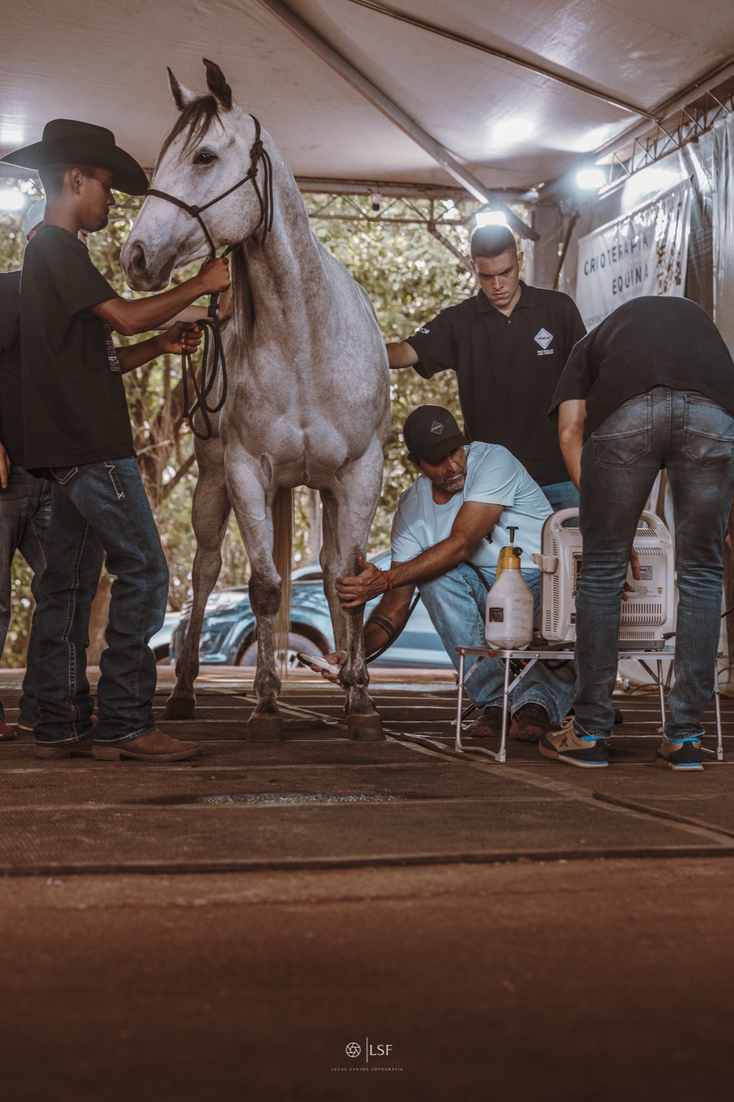 Equipe Pro Equus atendendo cavalo no evento