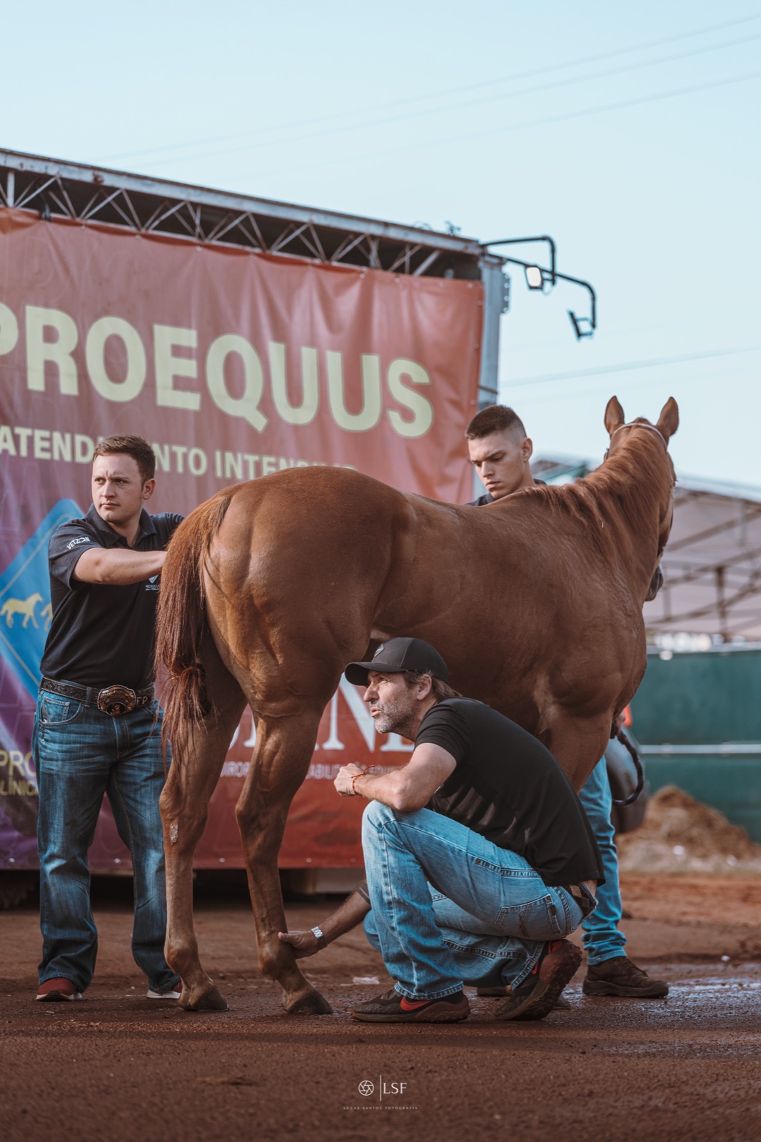 Avaliação de cavalo atleta no CAI Pro Equus