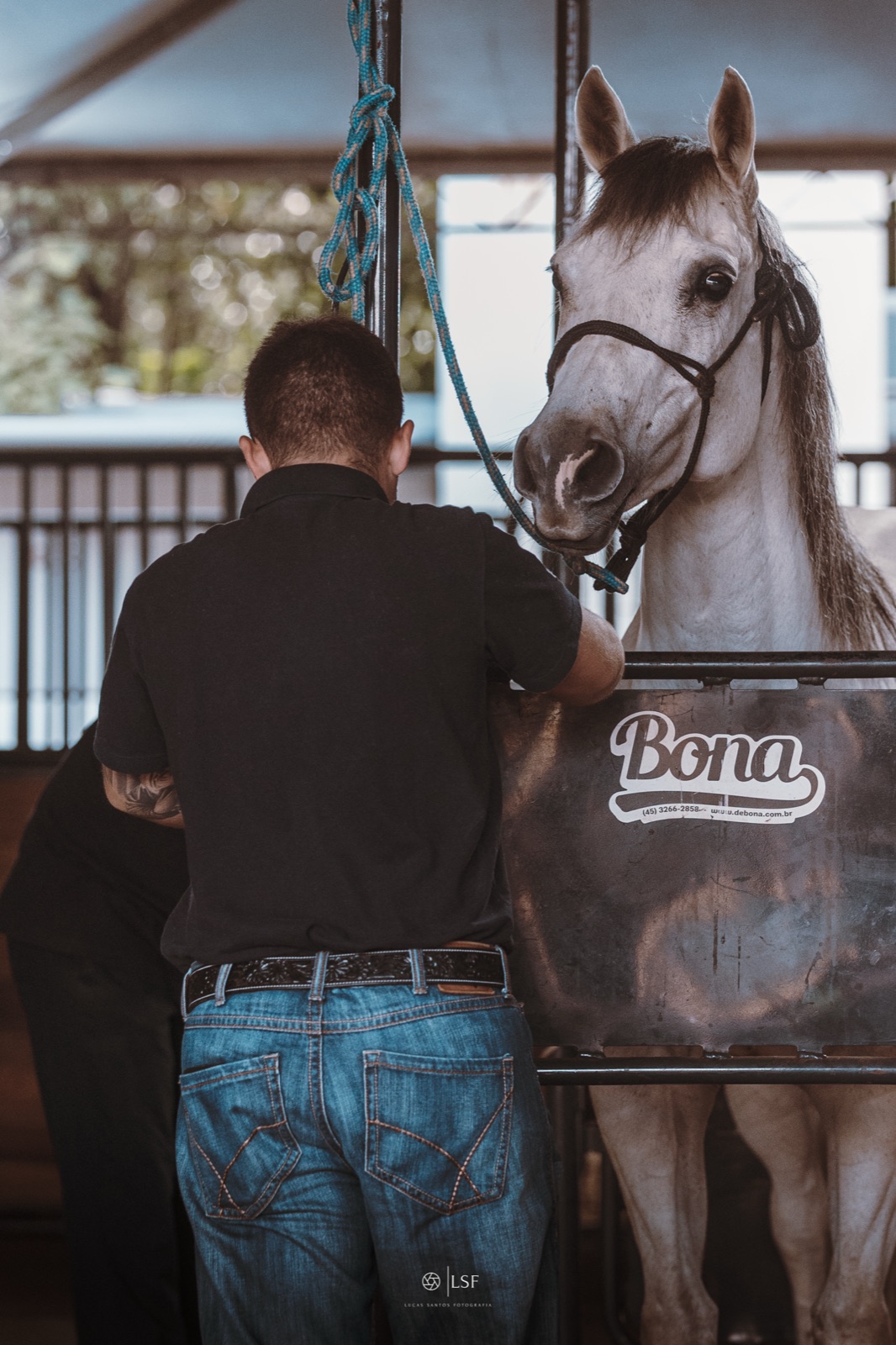 Estrutura móvel de atendimento intensivo Pro Equus