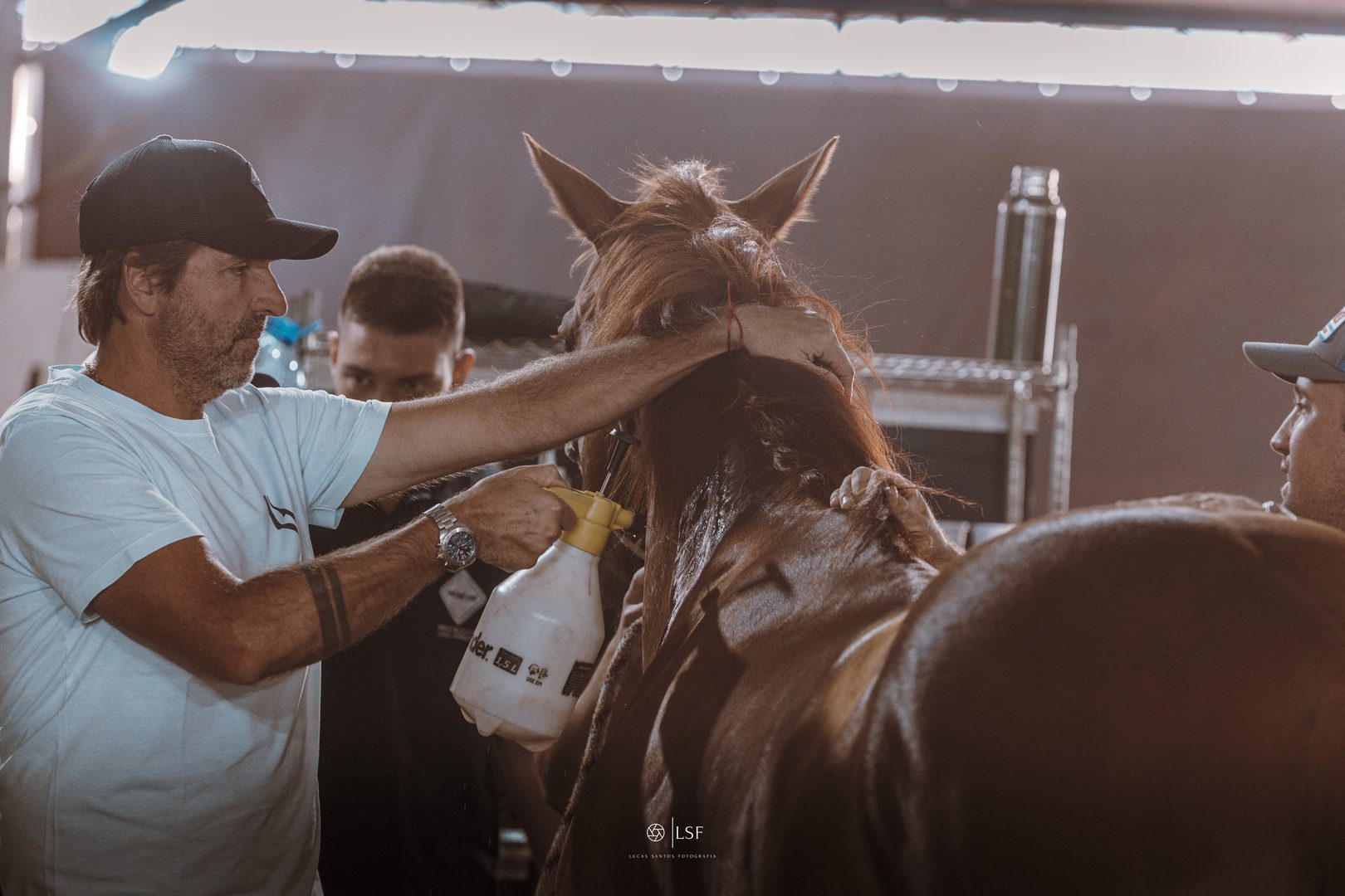 Aplicação de terapia em cavalo atleta no CAI Pro Equus
