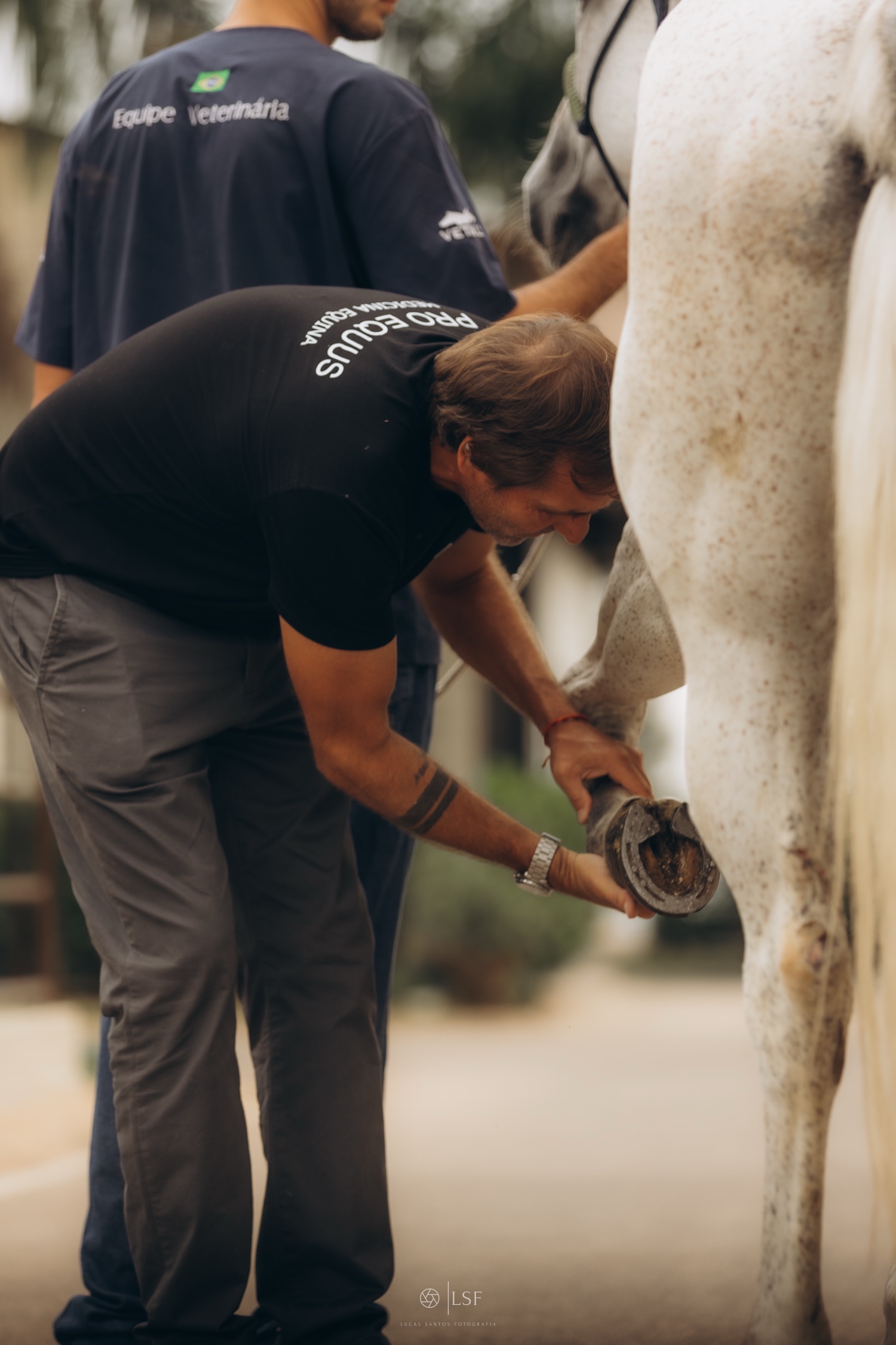 Cuidado com o casco de um cavalo branco
