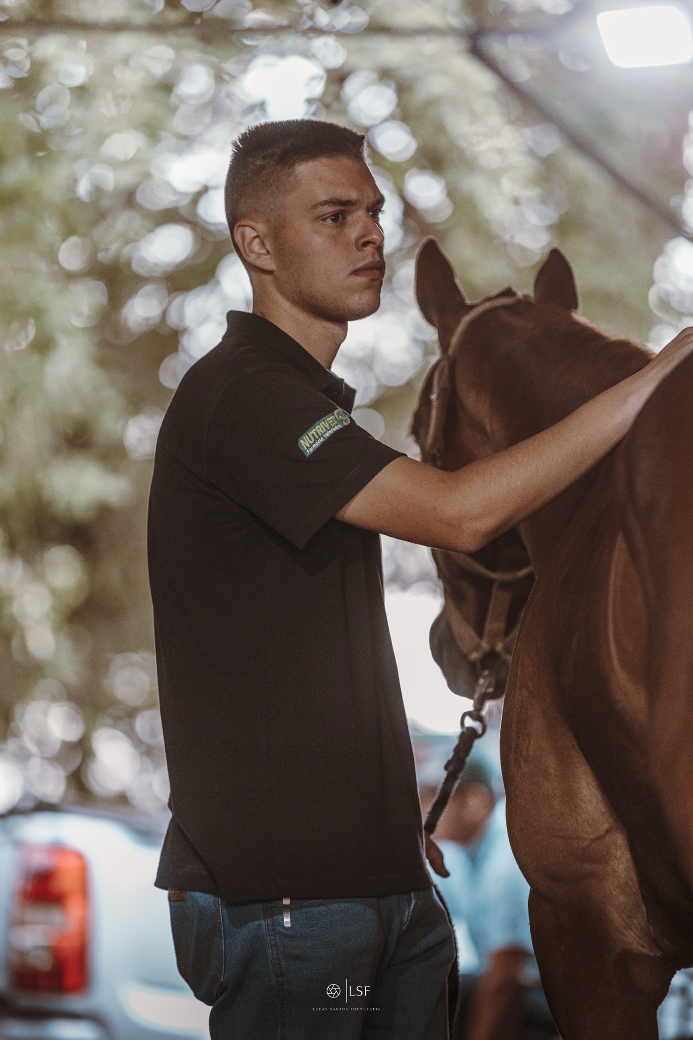 Veterinário ao lado de um cavalo